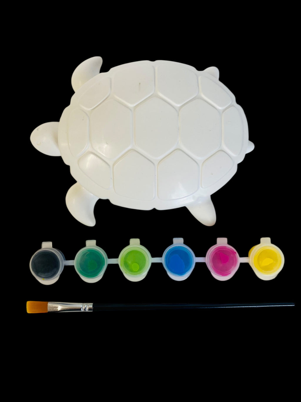 Kit créatif boite Tortue grande taille