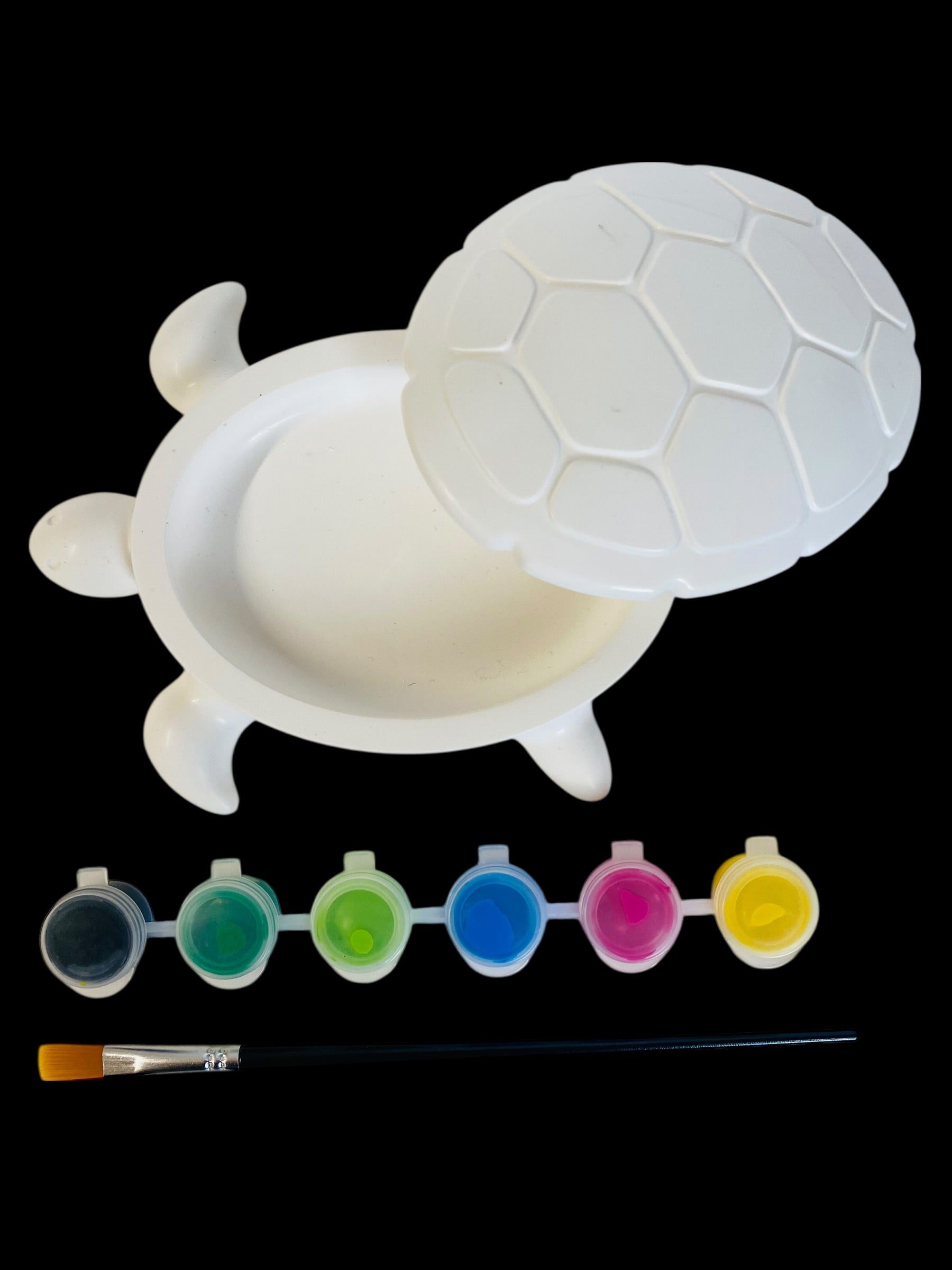 Kit créatif boite Tortue grande taille