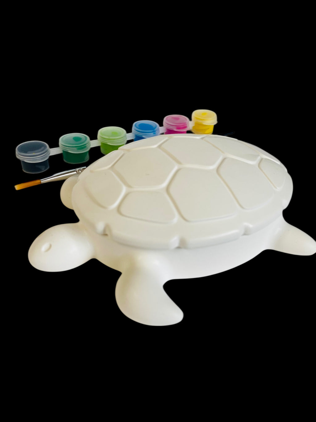Kit créatif boite Tortue grande taille